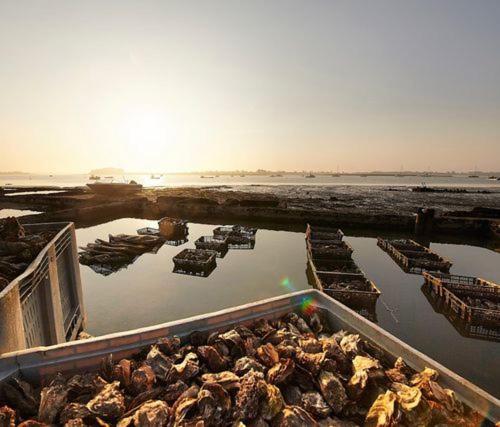 Ker Goh Velin Villa Saint-Gildas-de-Rhuys Luaran gambar