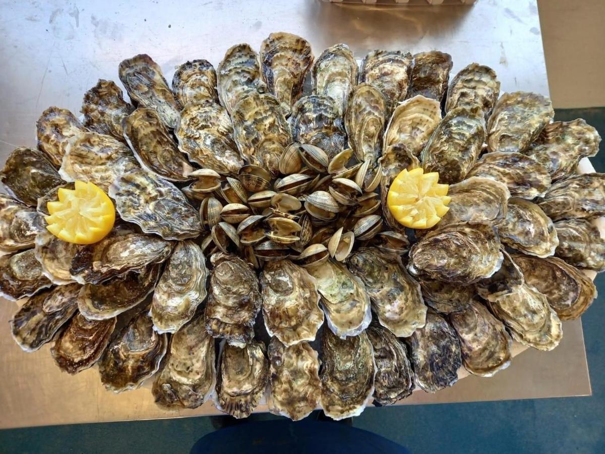 Ker Goh Velin Villa Saint-Gildas-de-Rhuys Luaran gambar