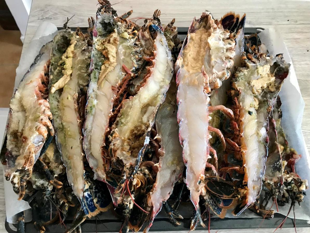 Ker Goh Velin Villa Saint-Gildas-de-Rhuys Luaran gambar